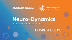 Neuro Dynamics Lower Body